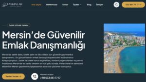 taskinlar gayrimenkul web tasarım